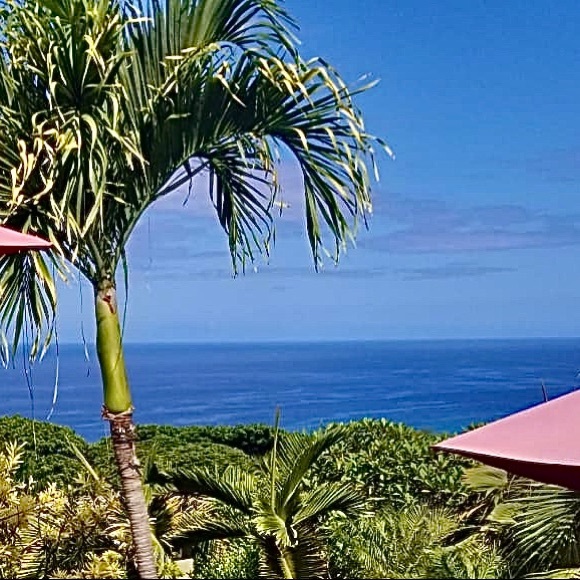 Meet your Posher, Susana - Picture 1 of 1